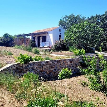 הוילה Potamos  The Pigeon House מראה חיצוני תמונה