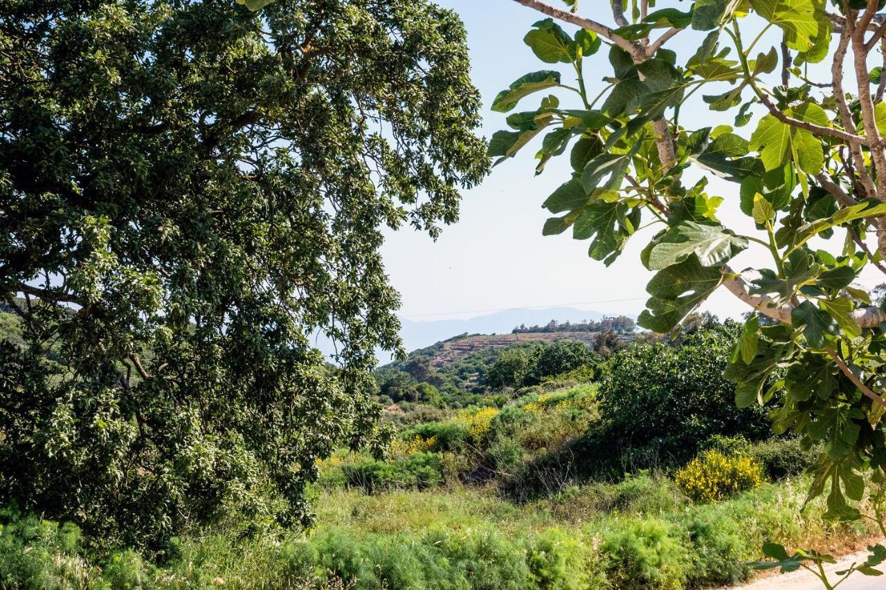 הוילה Potamos  The Pigeon House מראה חיצוני תמונה