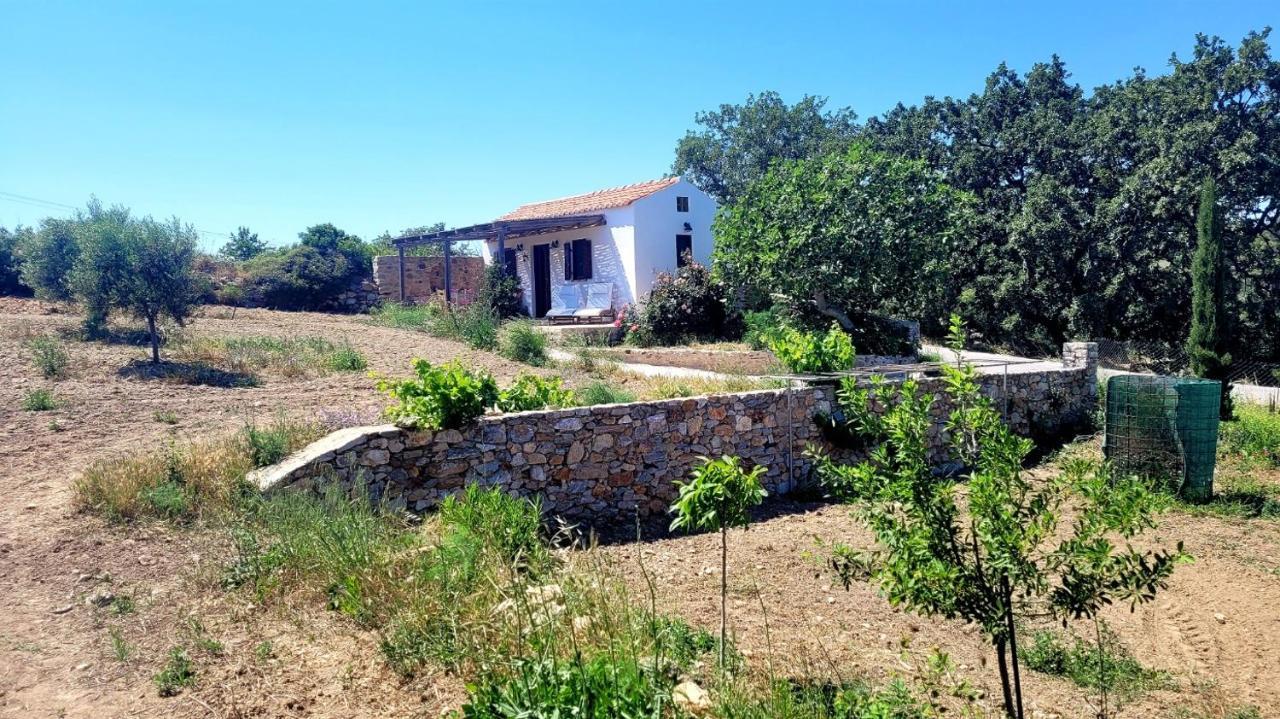 הוילה Potamos  The Pigeon House מראה חיצוני תמונה